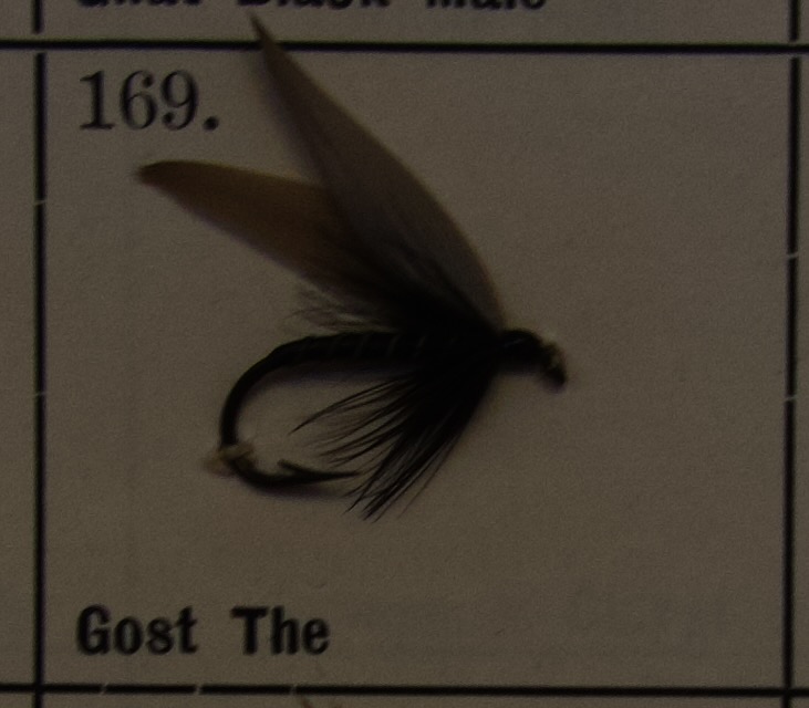 Gost