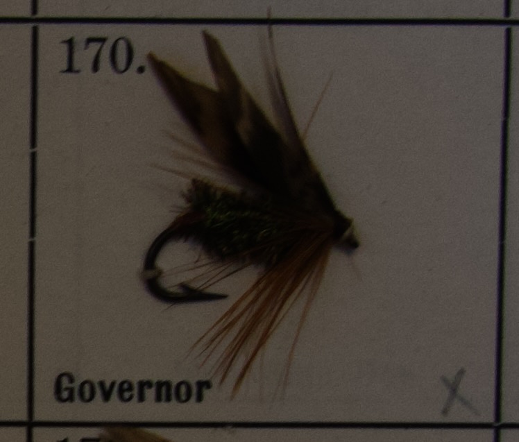 Governor