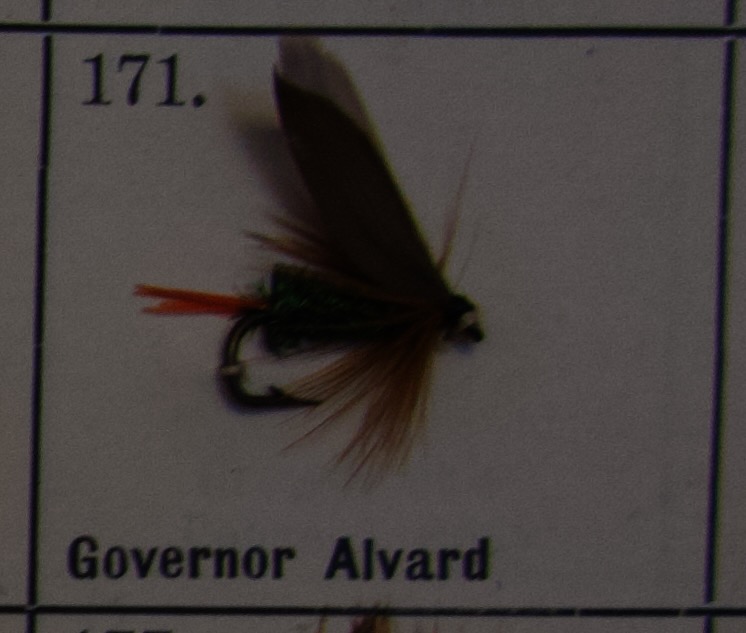 160 - 179: Våtfluer
