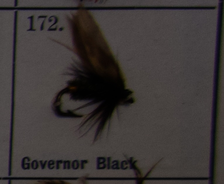 Governor Black