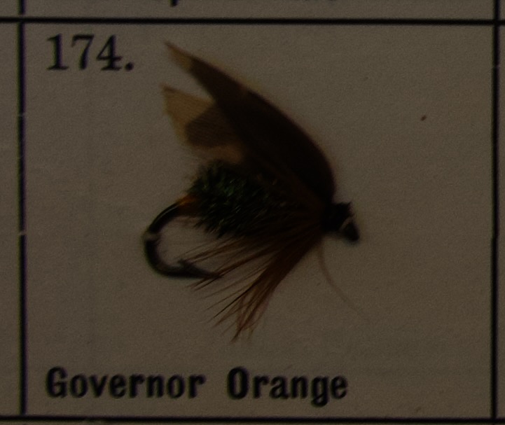 Governor Orange