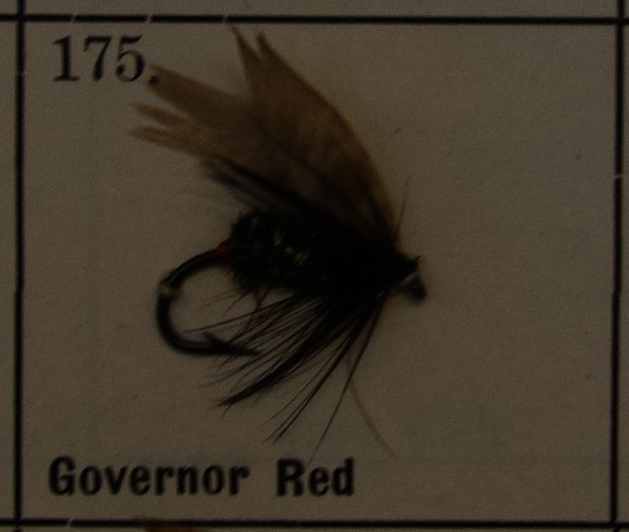 Governor Red
