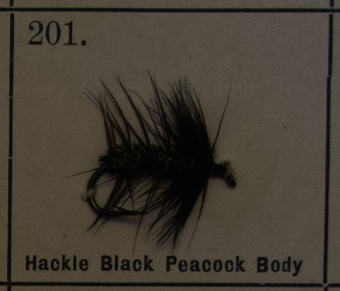 200 - 219: Våtfluer