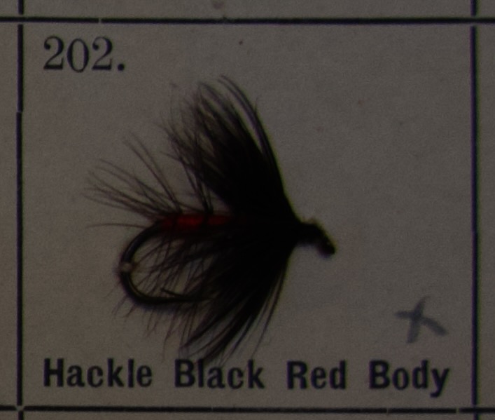 Hackle Black Red Body