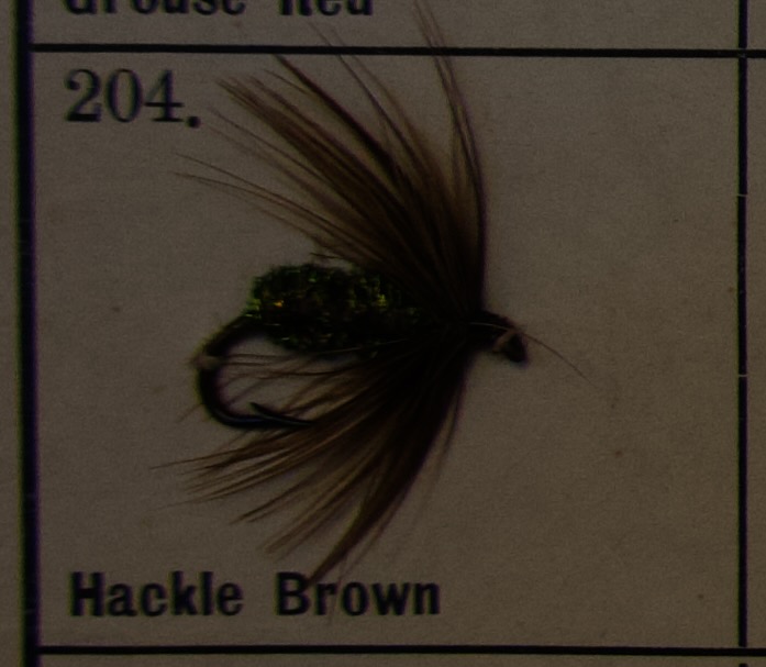Hackle Brown