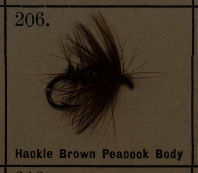 Hackle Brown Peacock Body