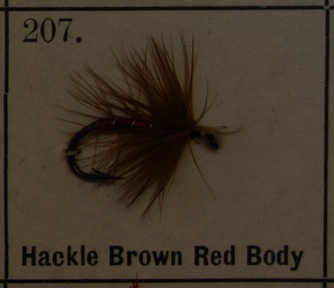 Hackle Brown Red Body