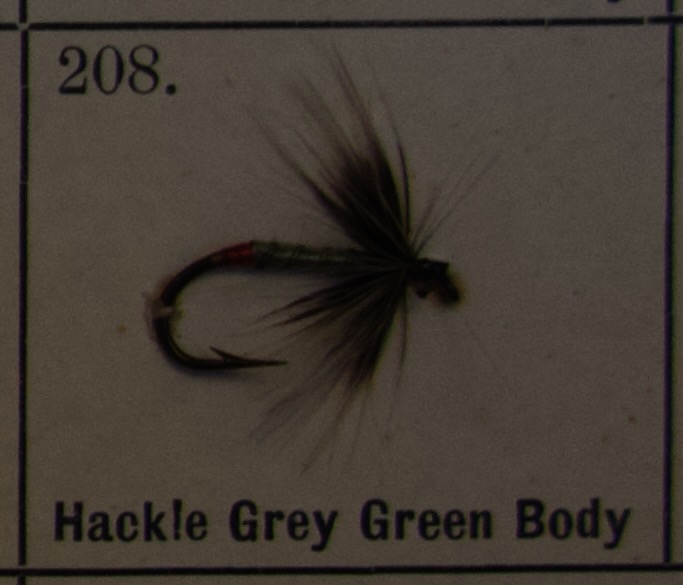 Hackle Grey Green Body