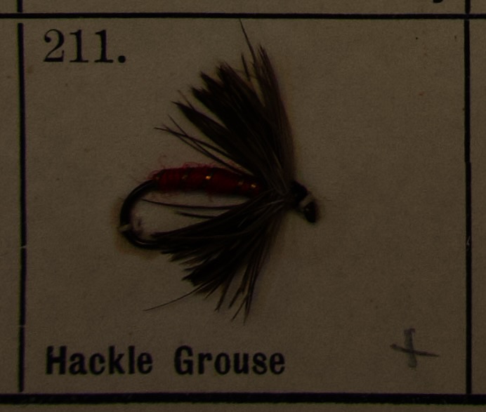 Hackle Grouse