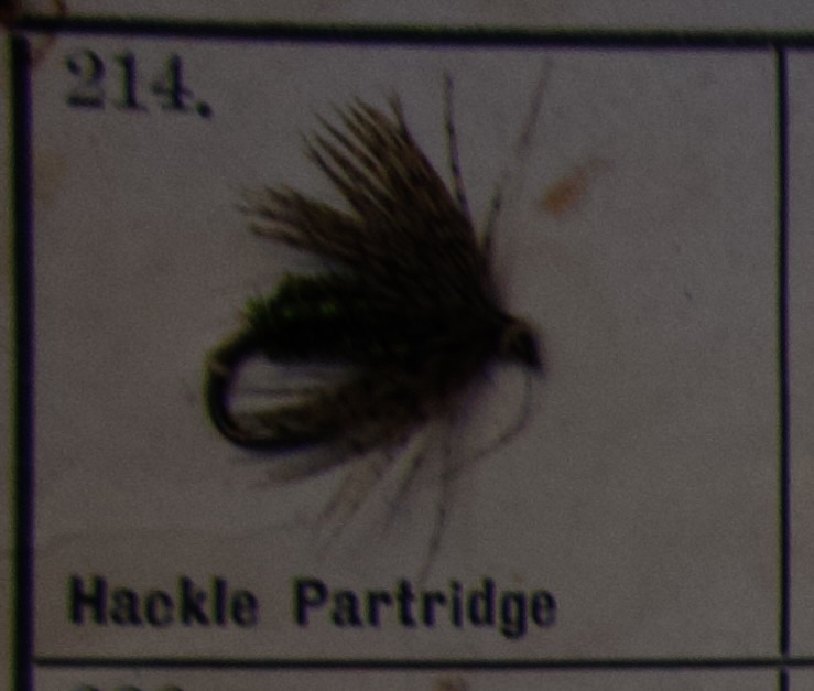 Hackle Partridge