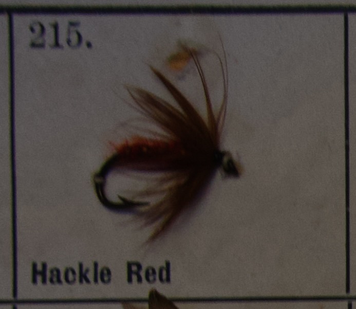 Hackle Red
