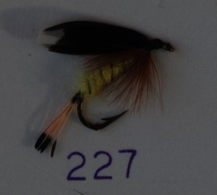 Heckham Peckham Yellow