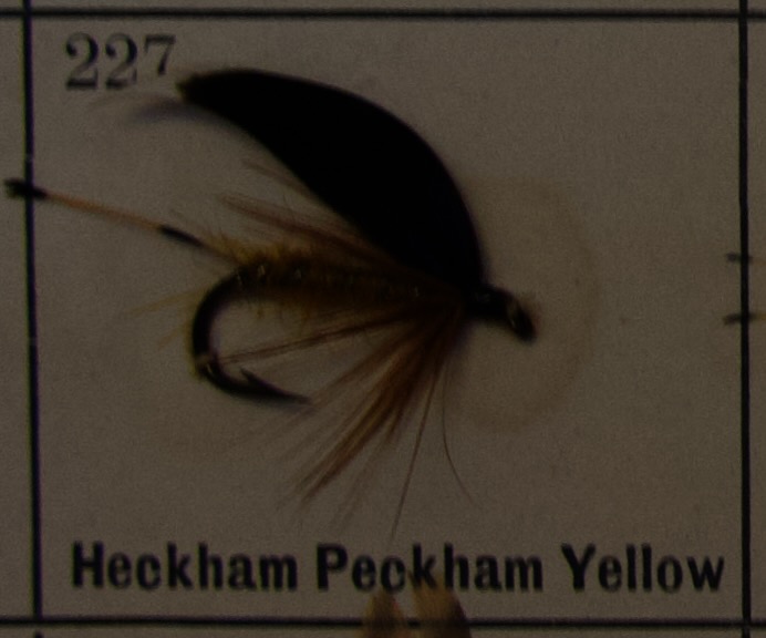 Heckham Peckham Yellow