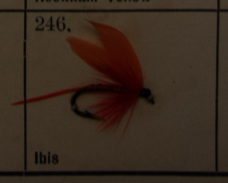 240 - 259: Våtfluer