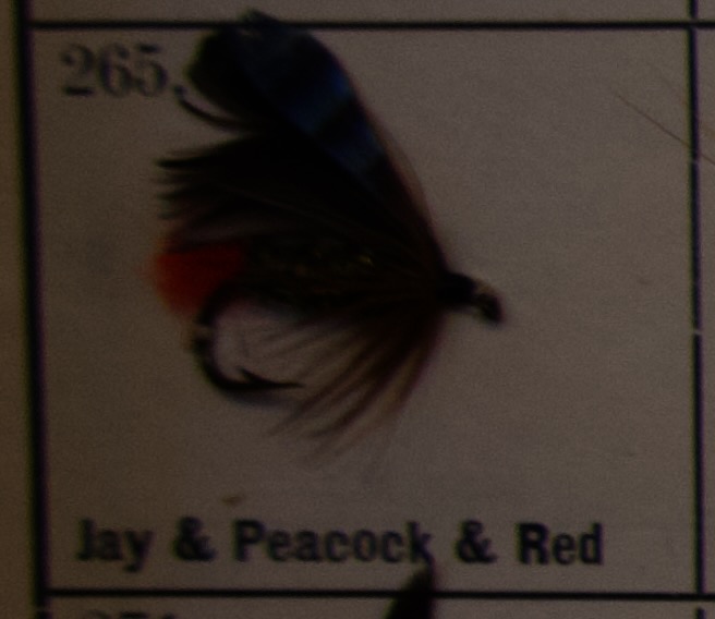 Jay Peacock Red