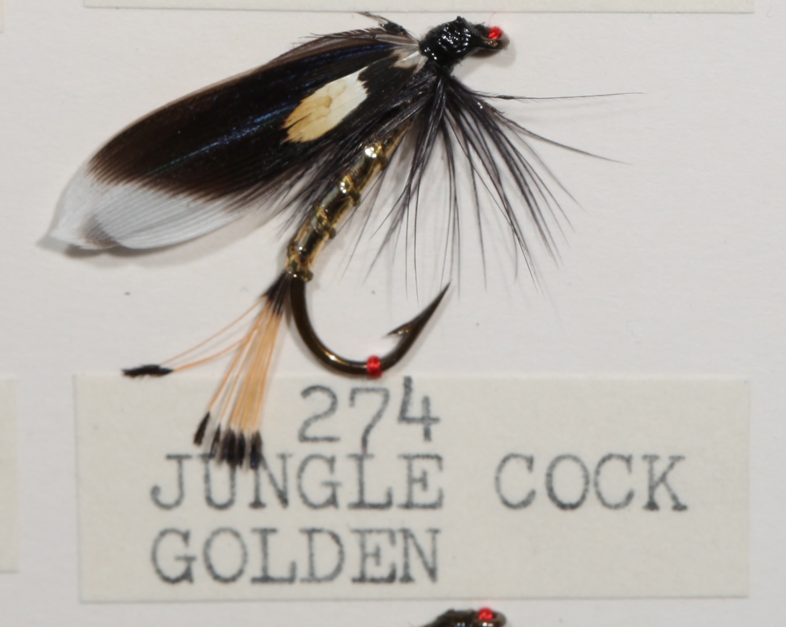 Jungle Cock Golden