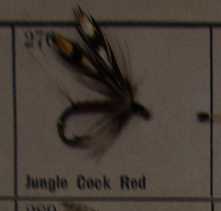 Jungle Cock Red