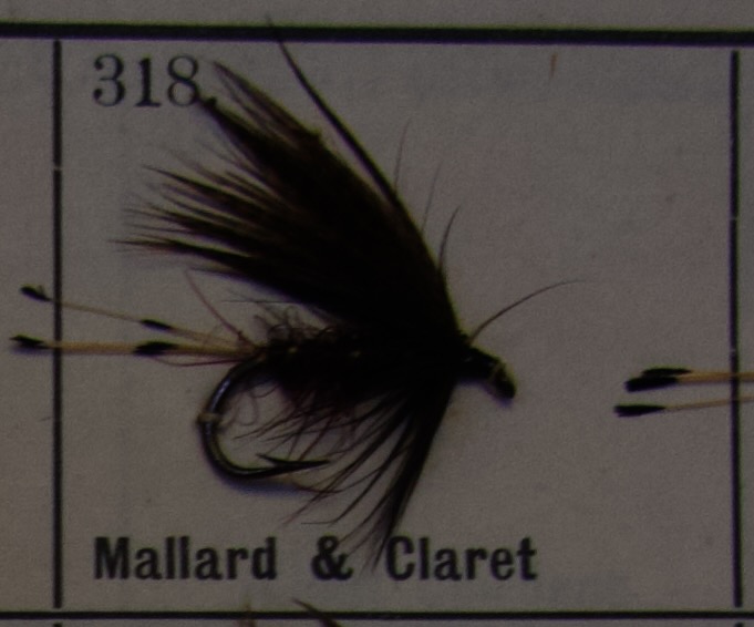 Mallard Claret