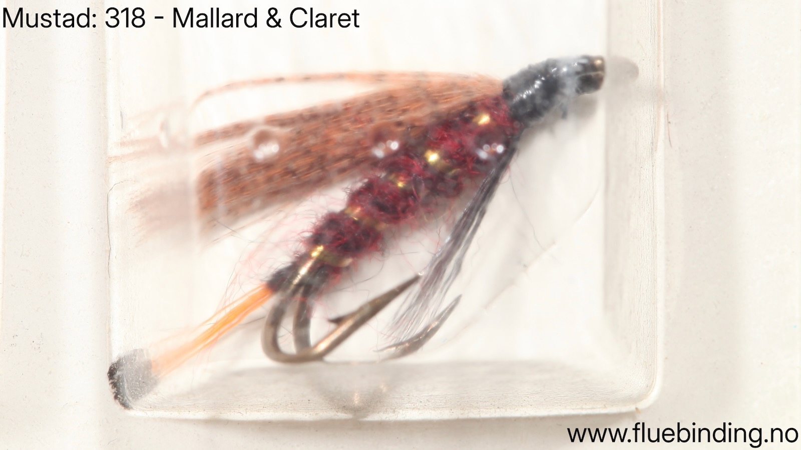 Mallard Claret
