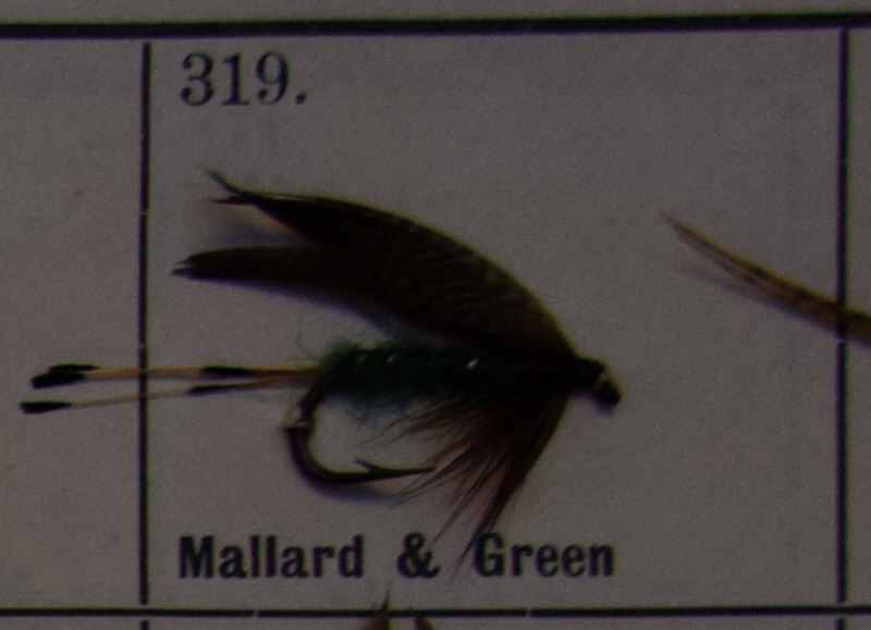 Mallard Green