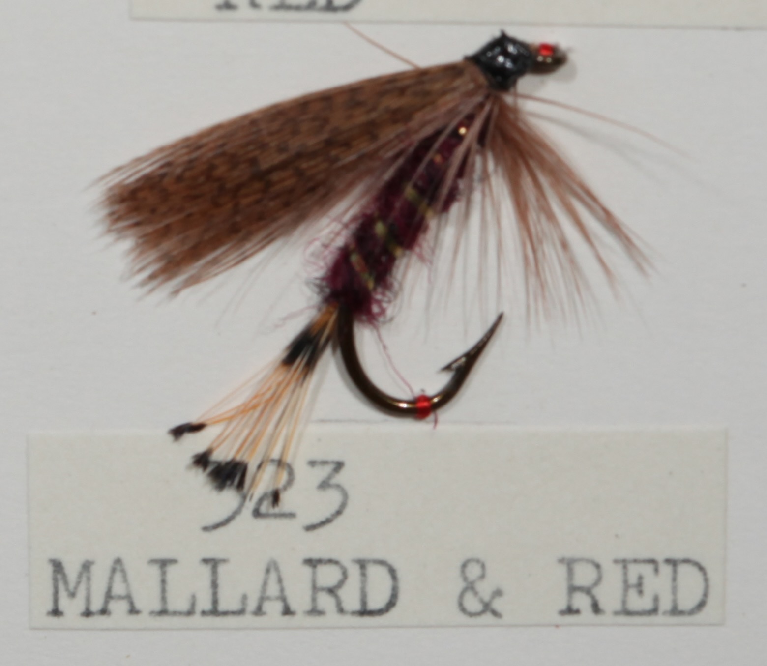 Mallard Red