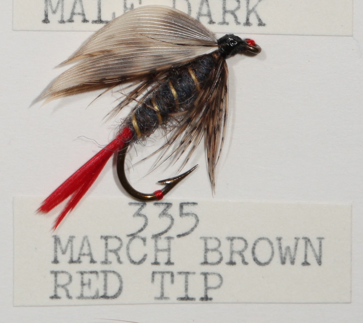 March Brown Red Tip