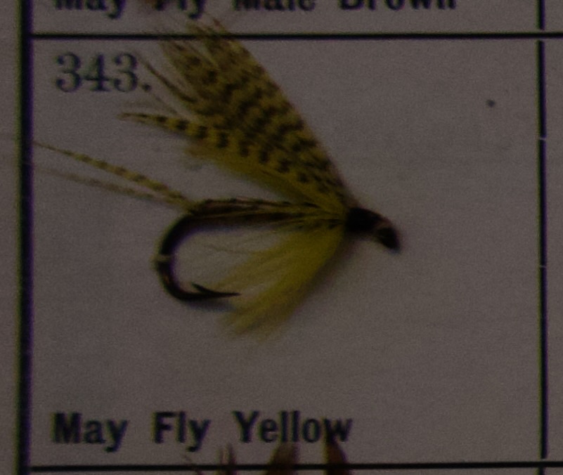 May Fly Yellow