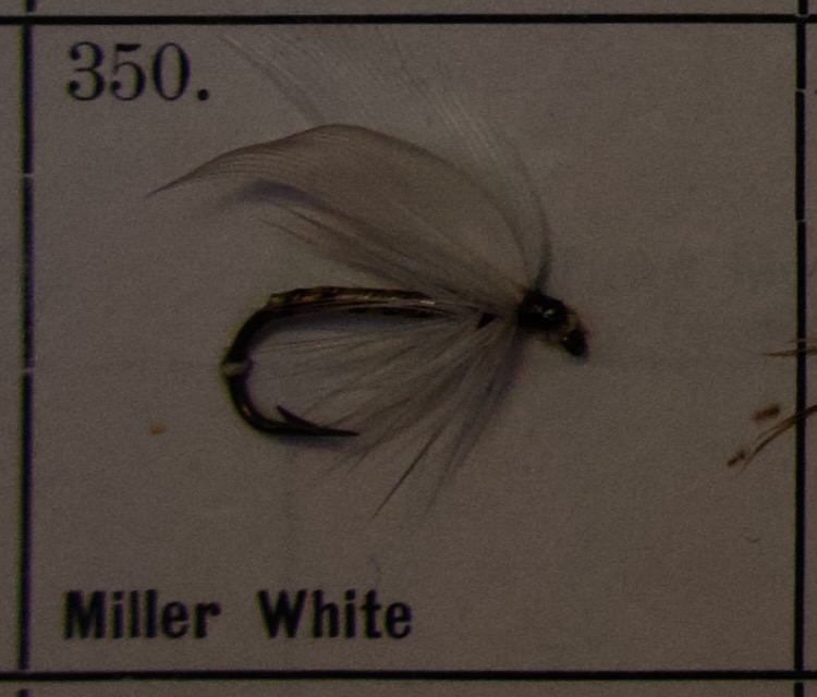 Miller White