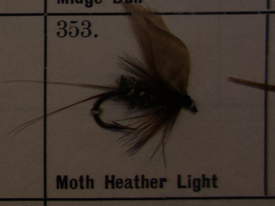 Moth Heather Light