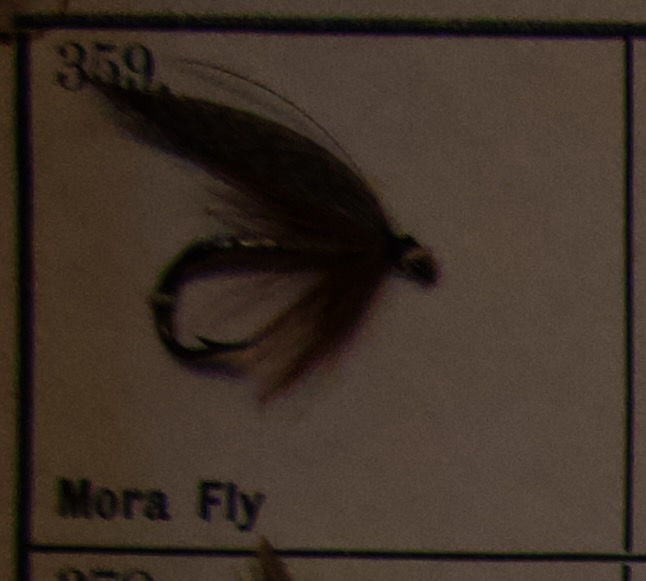 Mora Fly