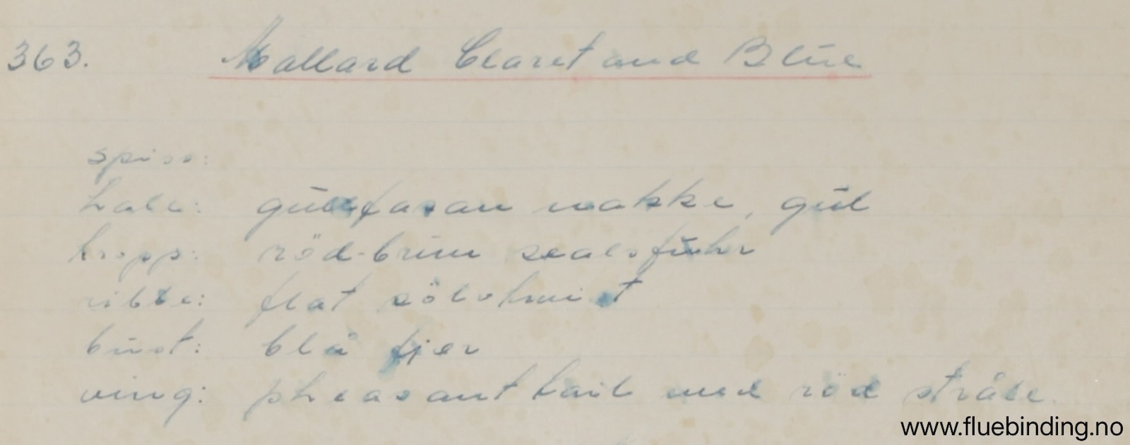 Mallard Claret And Blue