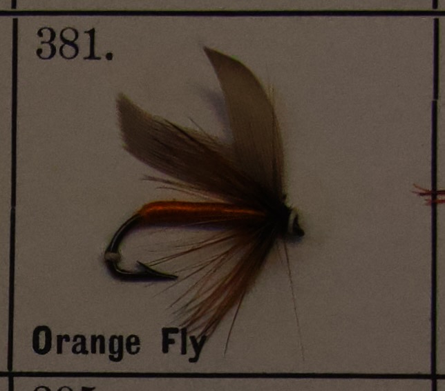 Orange Fly