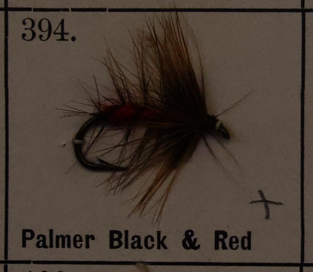 Palmer Black Red