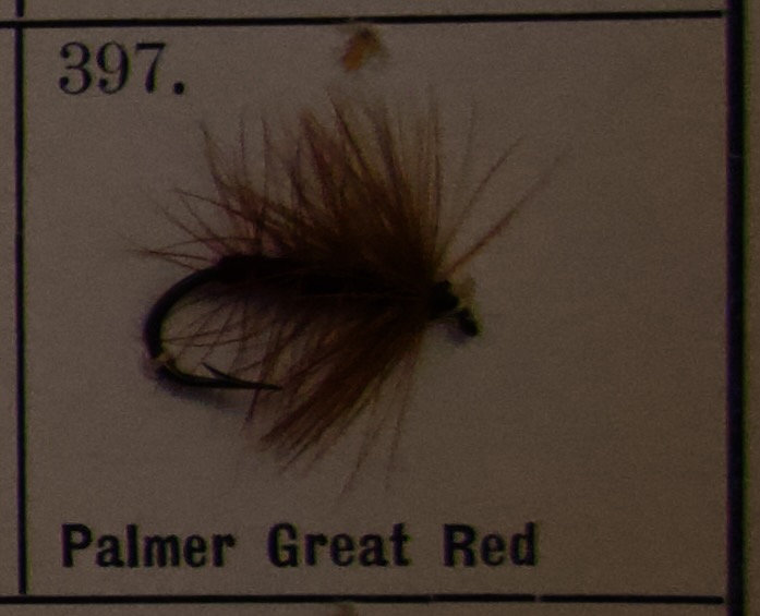 Palmer Great Red
