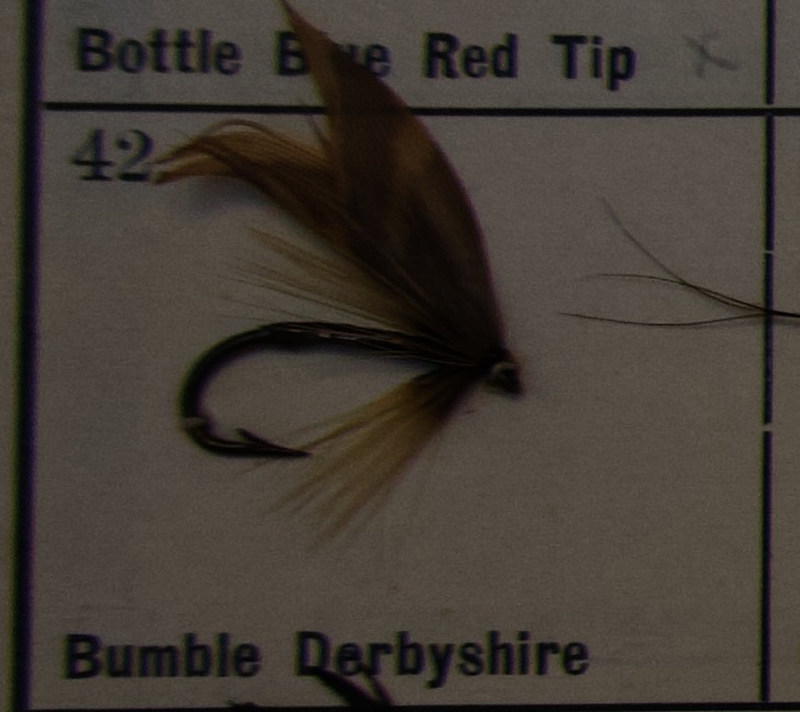 Bumble Derbyshire