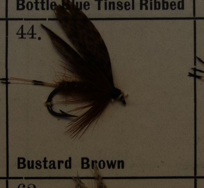 Bustard Brown