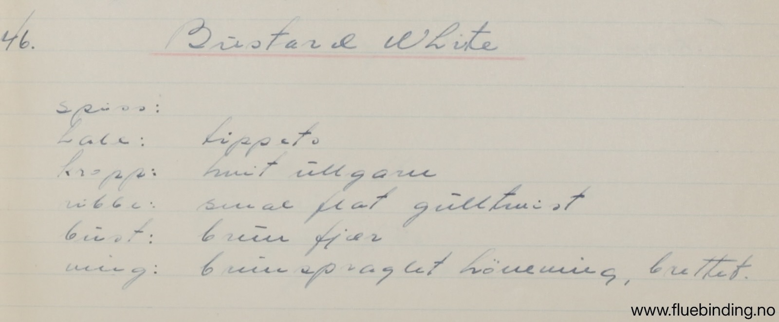 Bustard White
