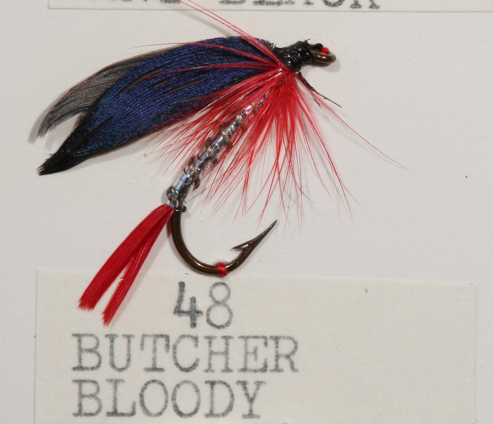 Butcher Bloody