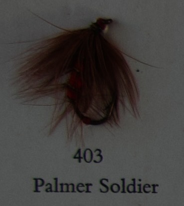 Palmer Soldier