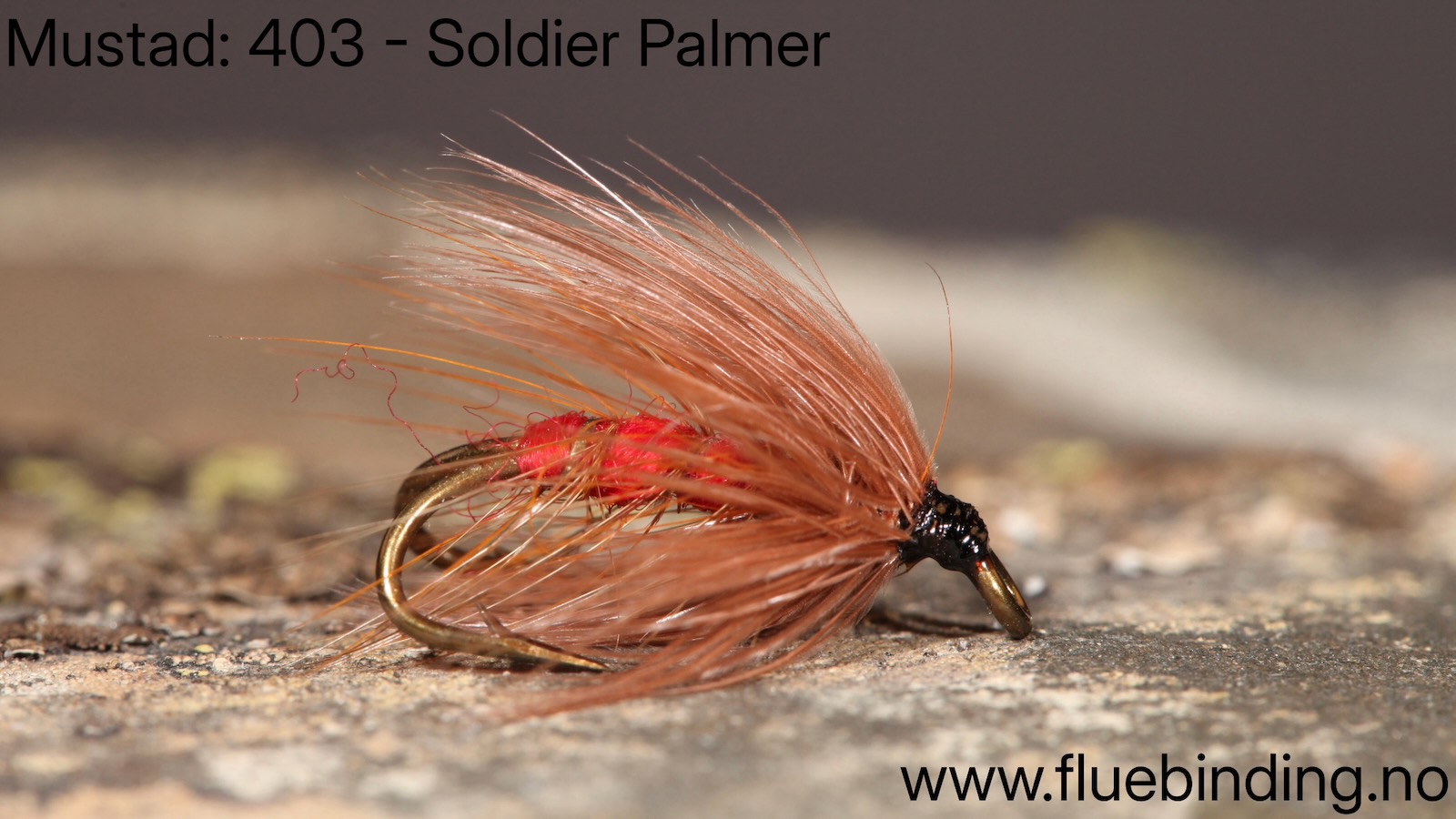 Palmer Soldier