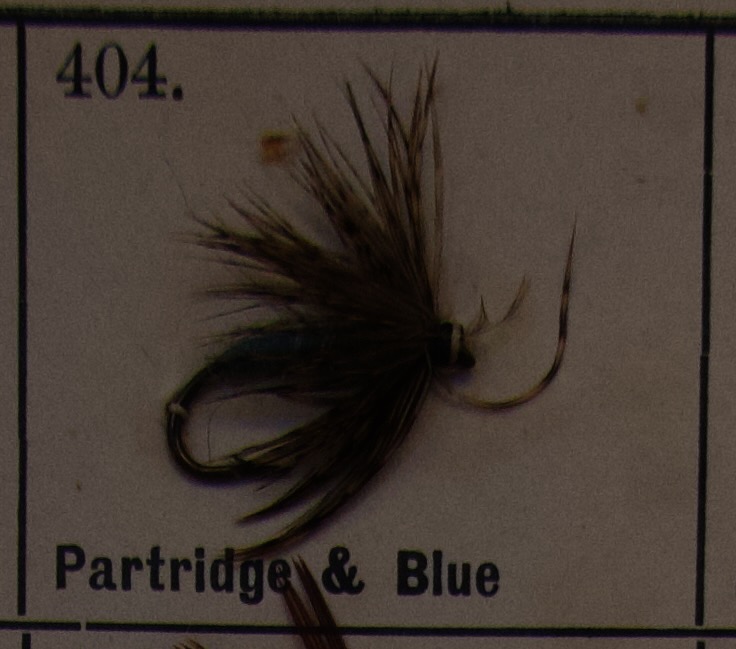 Partridge og Blue