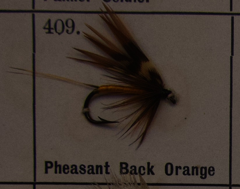 Pheasant Back Orange