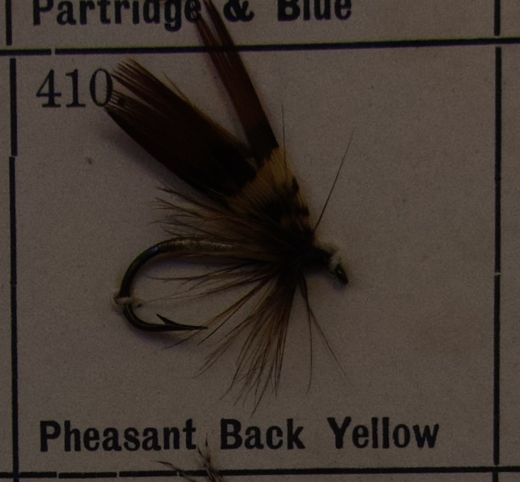Pheasant Back Yellow