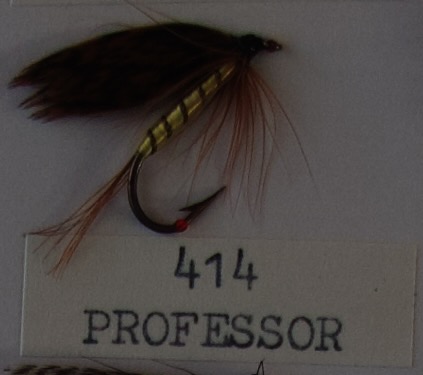 400 - 419: Våtfluer