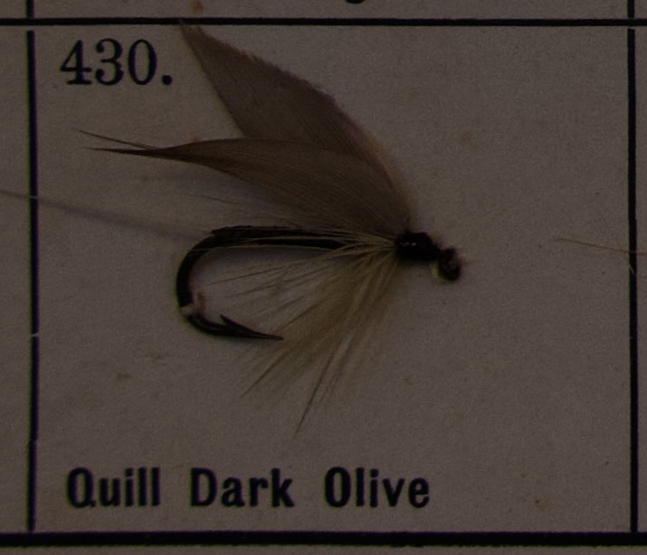 Quill Dark Olive