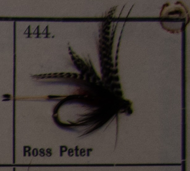 Ross Peter