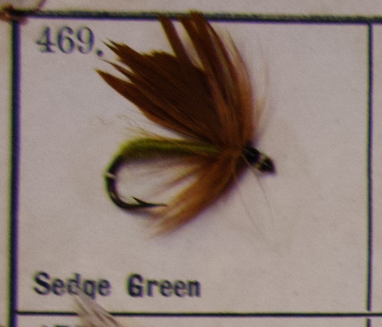 Sedge Green