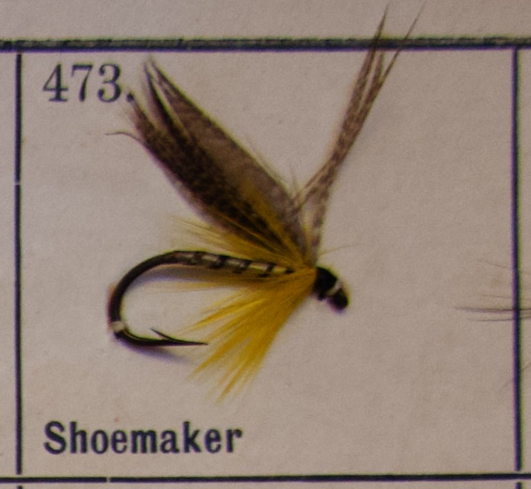 Shoemaker
