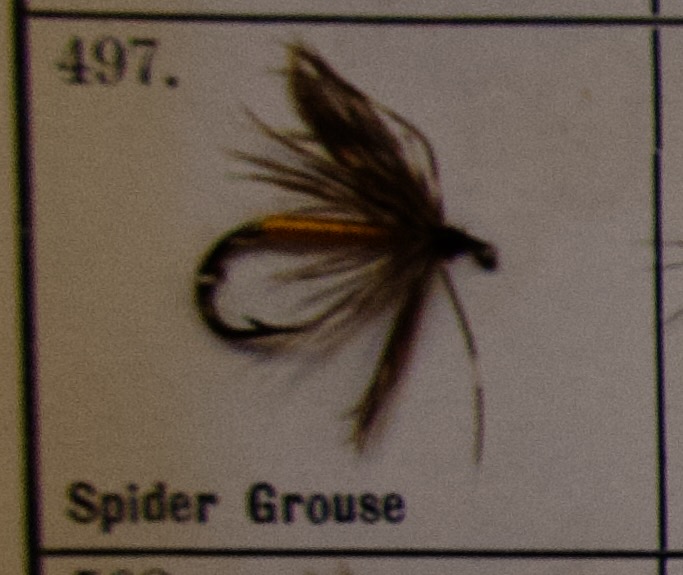 Spider Grouse