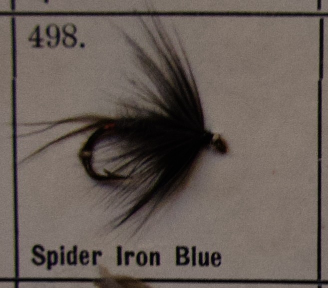 Spider Iron Blue